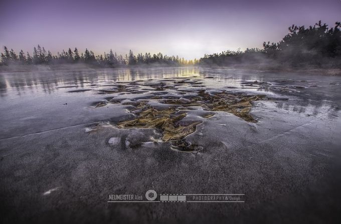 Captured in ice by ales_neumeister - Change Photo Contest