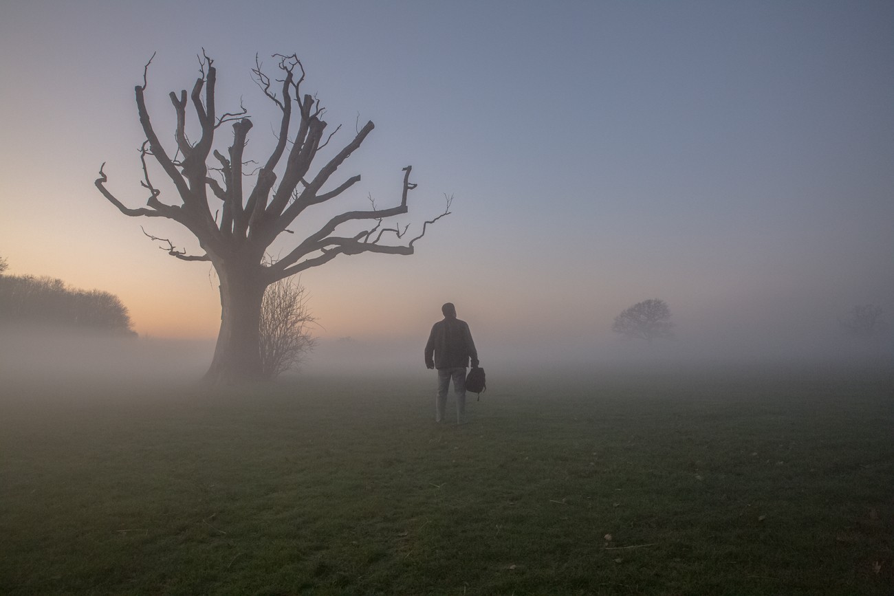59 Incredible Photos Where The Mist Wins