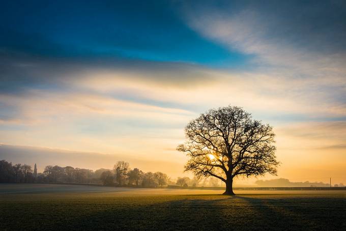 Frosty Oak Tree by richardcrompton - Composing With Rule Of Thirds Photo Contest