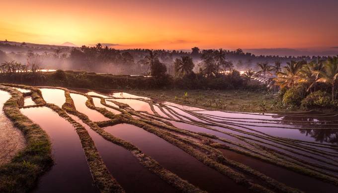 Bali Rice Terrace Sunrise by Merakiphotographer - Monthly Pro Vol 30 Photo Contest