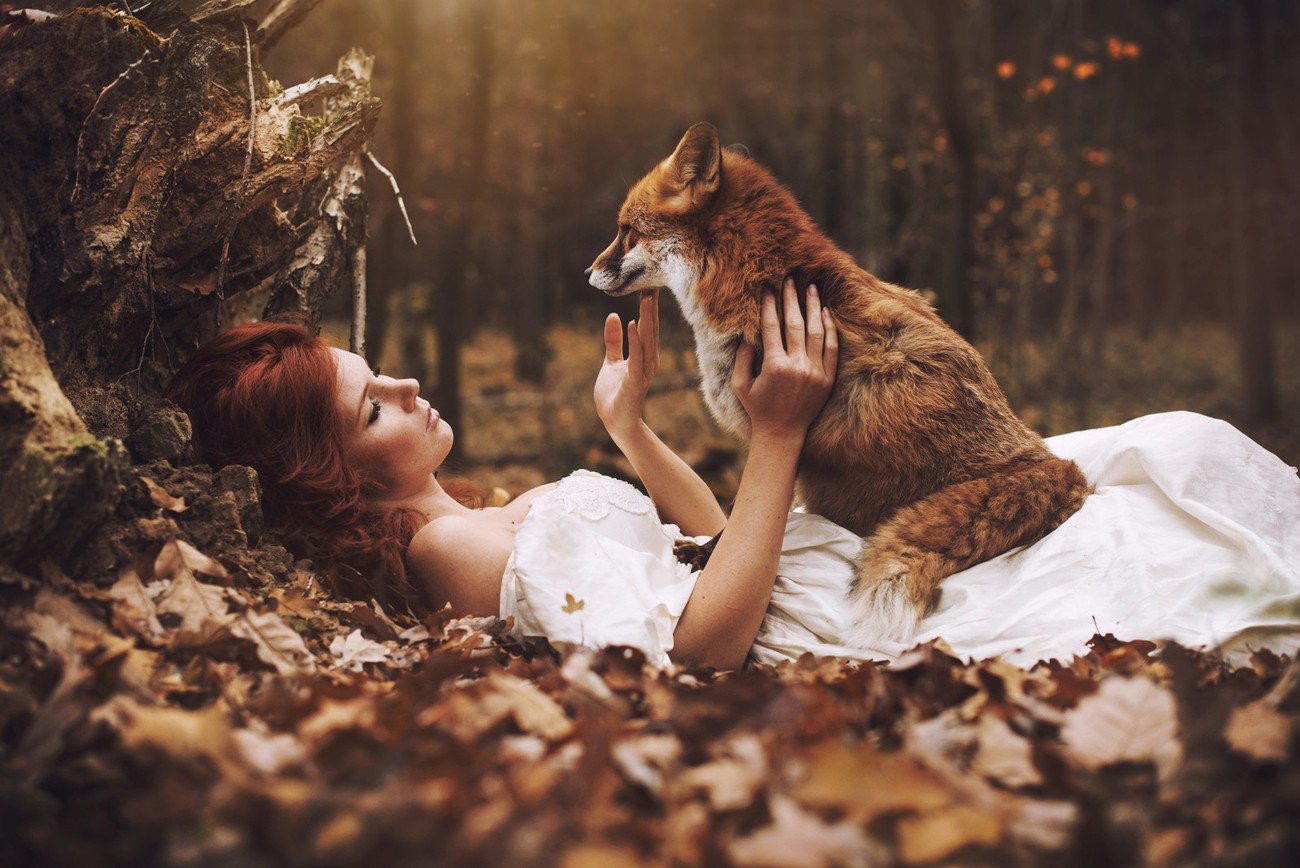 How Many Of These Fairytale-Like Photos Have You Seen?