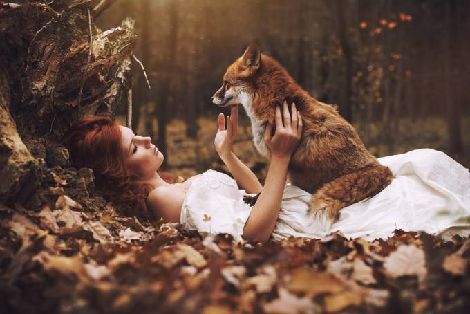 Two fox... by MarketaNovak - Fairytale Moments Photo Contest