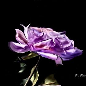 violetta6 avatar