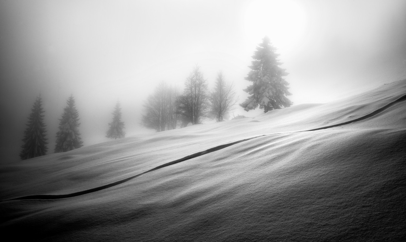 Winter In Black And White Photo Contest Winners