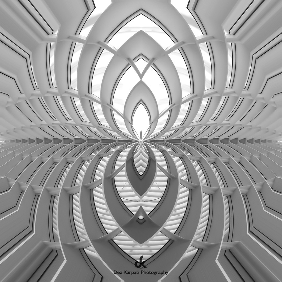 Kaleidoscope of Life XII by dezkarpatiphotography - Patterns In Black And White Photo Contest