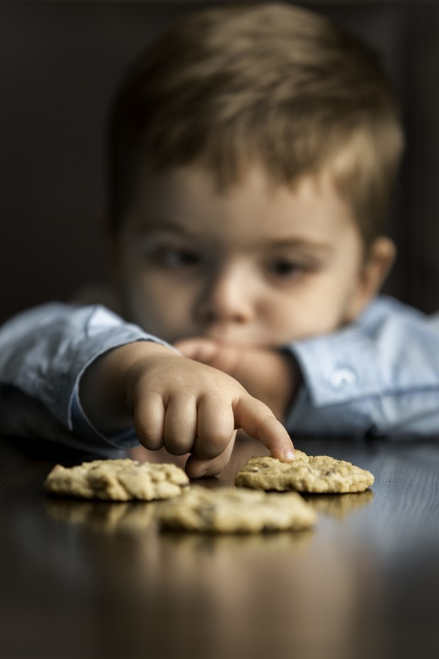 Will Work for Cookies by ChelseaTracyPhotography - Everyday Things Photo Contest