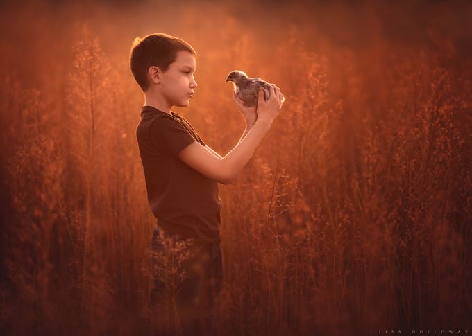 Inspecting the Livestock by lisaholloway