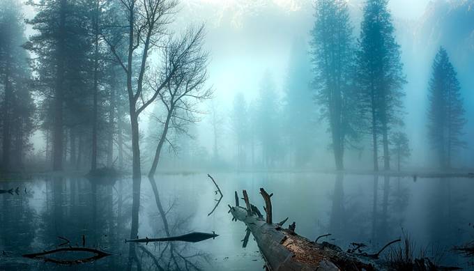 morning mist by DJLee - Stillness Photo Contest