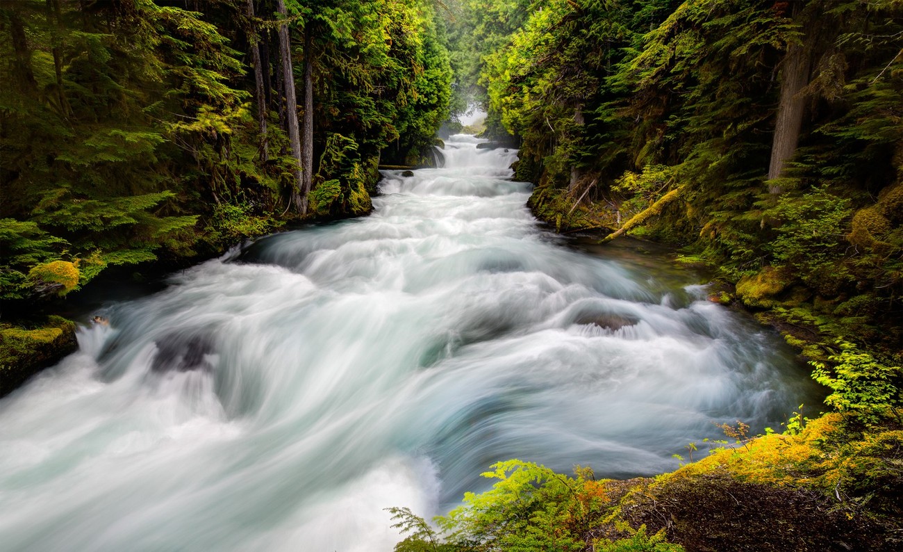 19+ Gorgeous Shots Of Rivers That Will Inspire You