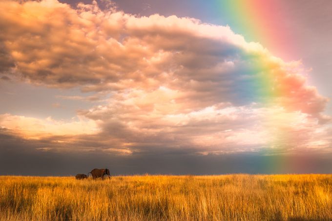 Kenya Rainbow by WorldPix - Bright Colors In Nature Photo Contest