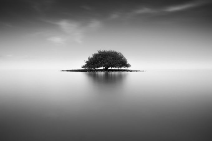 Tree Island   by Ricky303 - A Lonely Tree Photo Contest