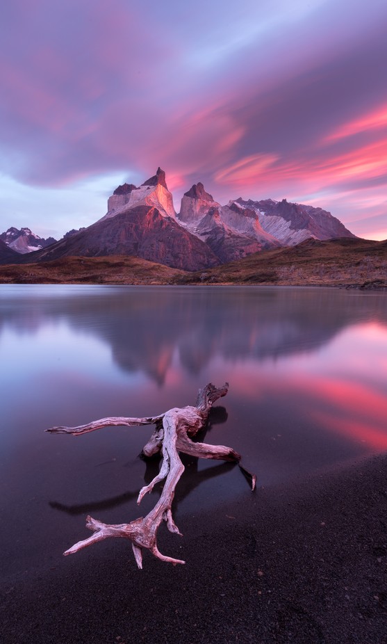 A perfect balance by AlejandroFerrand - The Pink Color Photo Contest