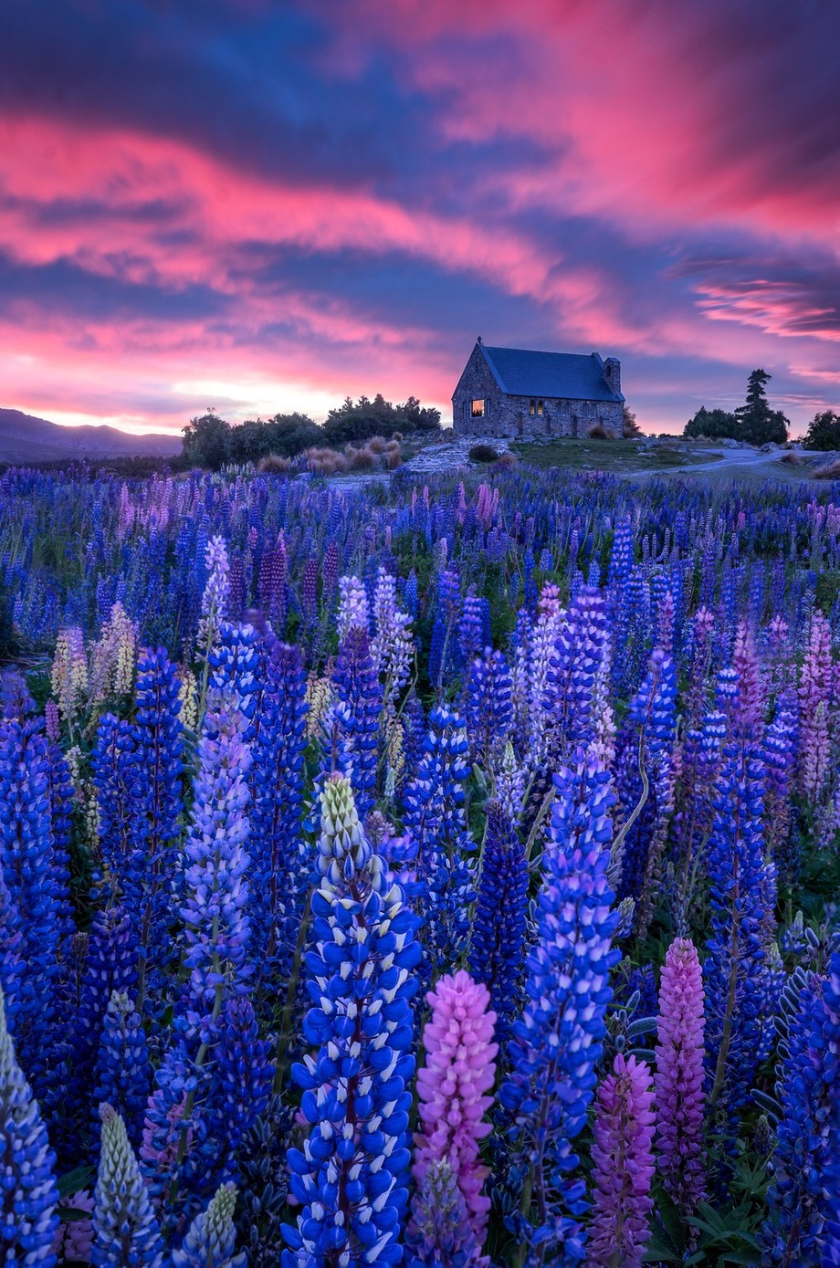 Purple Haze || Church of the Good Shepherd, New Zealand by capturezeworld - Bright Colors In Nature Photo Contest