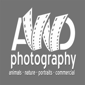 awdphotography avatar