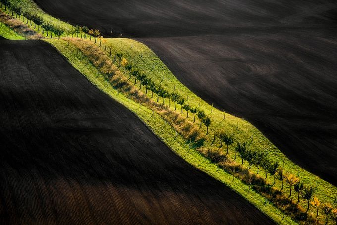 Moravian Fields II by jansieminski - Composition And Leading Lines Photo Contest