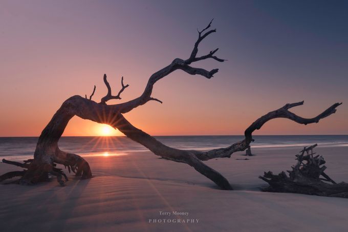 Sunrise - Driftwood Beach by Twmooney - Beautiful Sunrises Photo Contest