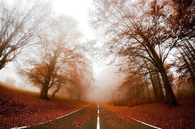 Road in fog  by alexandrurazvan - A Road Trip Photo Contest