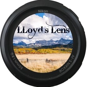 LloydsLens avatar