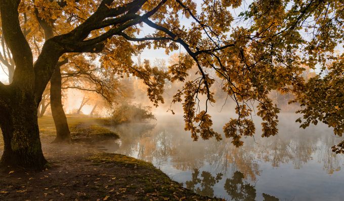 About autumn , the light and fog  by Alexander_Plekhanov - Change Of Seasons Photo Contest