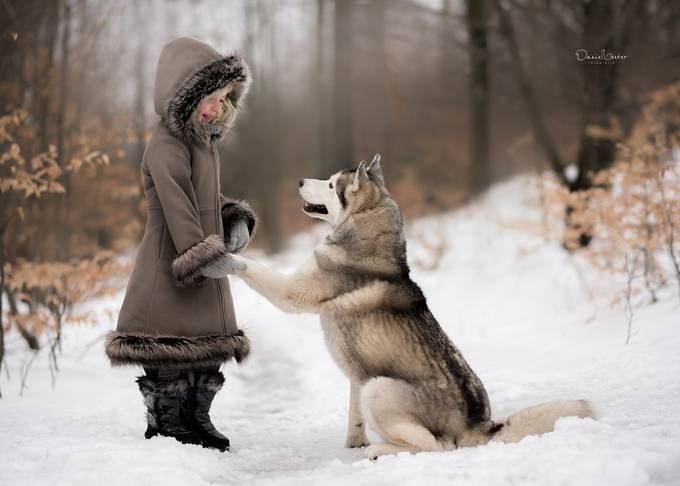 Making winter friends  by danielventer - Pets With Kids Photo Contest