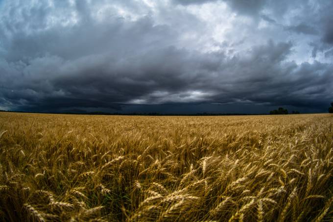 wheat storm by RAWrightphotography - Moody Vistas Photo Contest