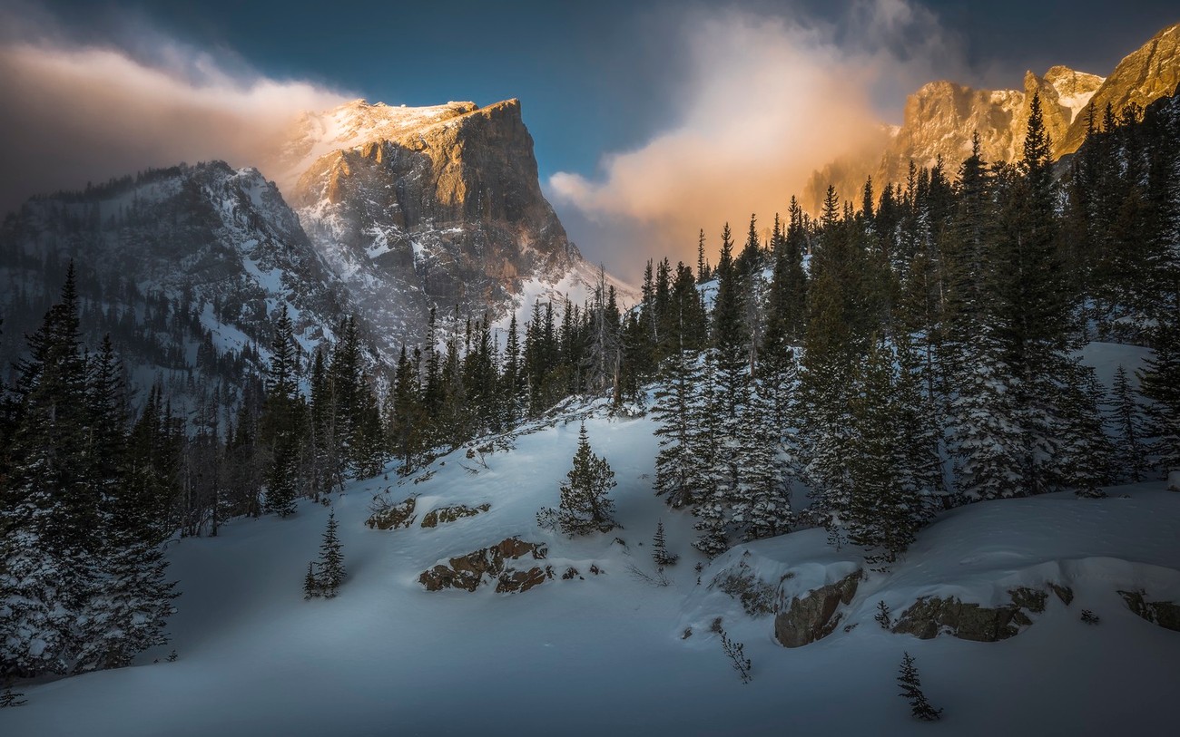 The Cold Winter Photo Contest Winners