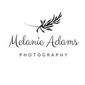 MelanieAdamsPhotography avatar