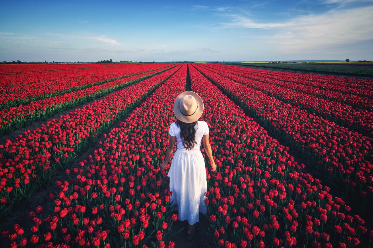 20+ Colorful Shots That Will Make You Miss The Spring Time