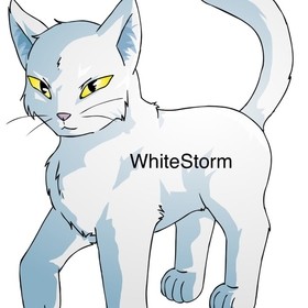 WhiteStorm avatar