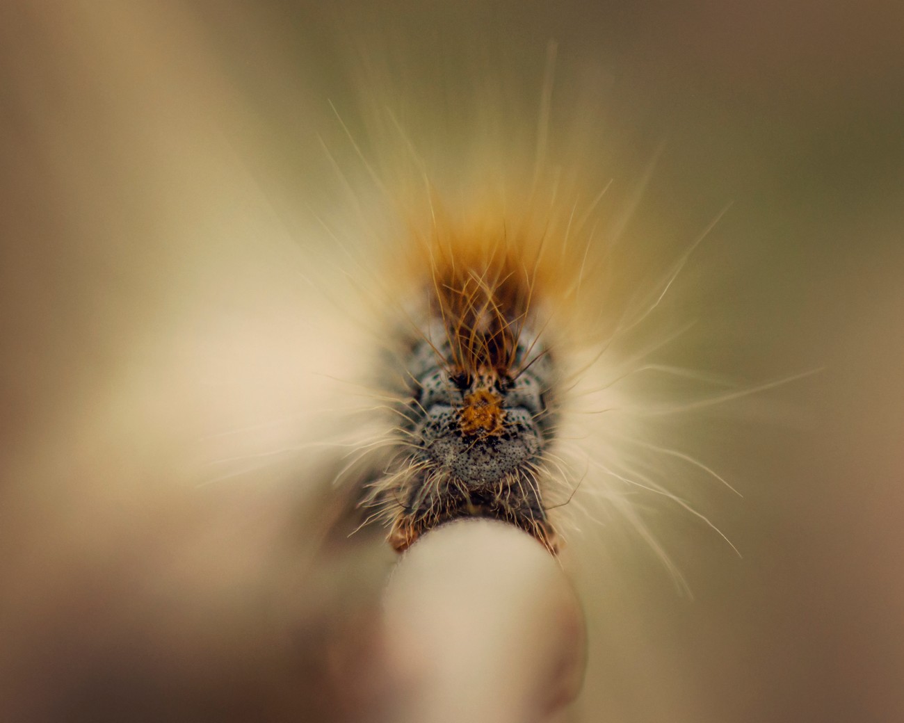 Tiny Things In Nature Photo Contest Winner