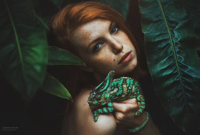 The chameleon by MarketaNovak - Reptiles Photo Contest