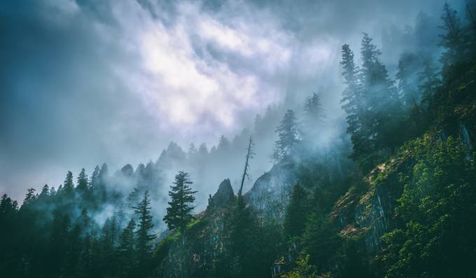 Rising Fog by manueladurson - Dark Forests Photo Contest