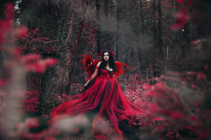The red forest by AlieshaBate - An Unforgettable Adventure Photo Contest