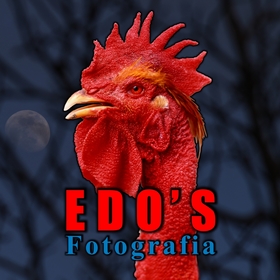 edoardoedosfotolocci avatar