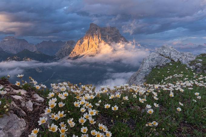 mountain in bloom by AndreaSagui - Unique Sceneries Photo Contest