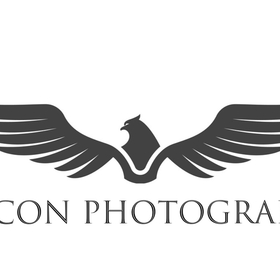 falconphotography avatar