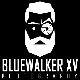 BLUEwalkerXV avatar