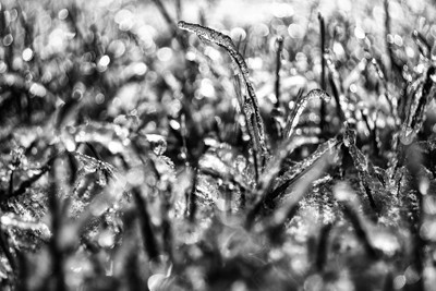 99 Cool But Hot Shots Of Ice In Black And White