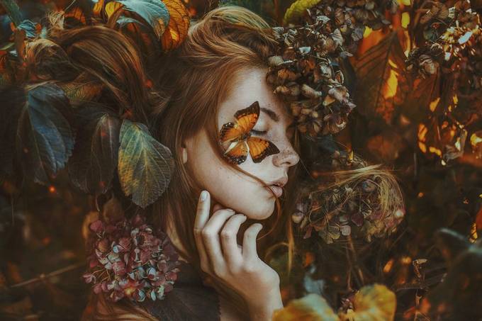 Autumn... by MarketaNovak - Covers Photo Contest Volume 1