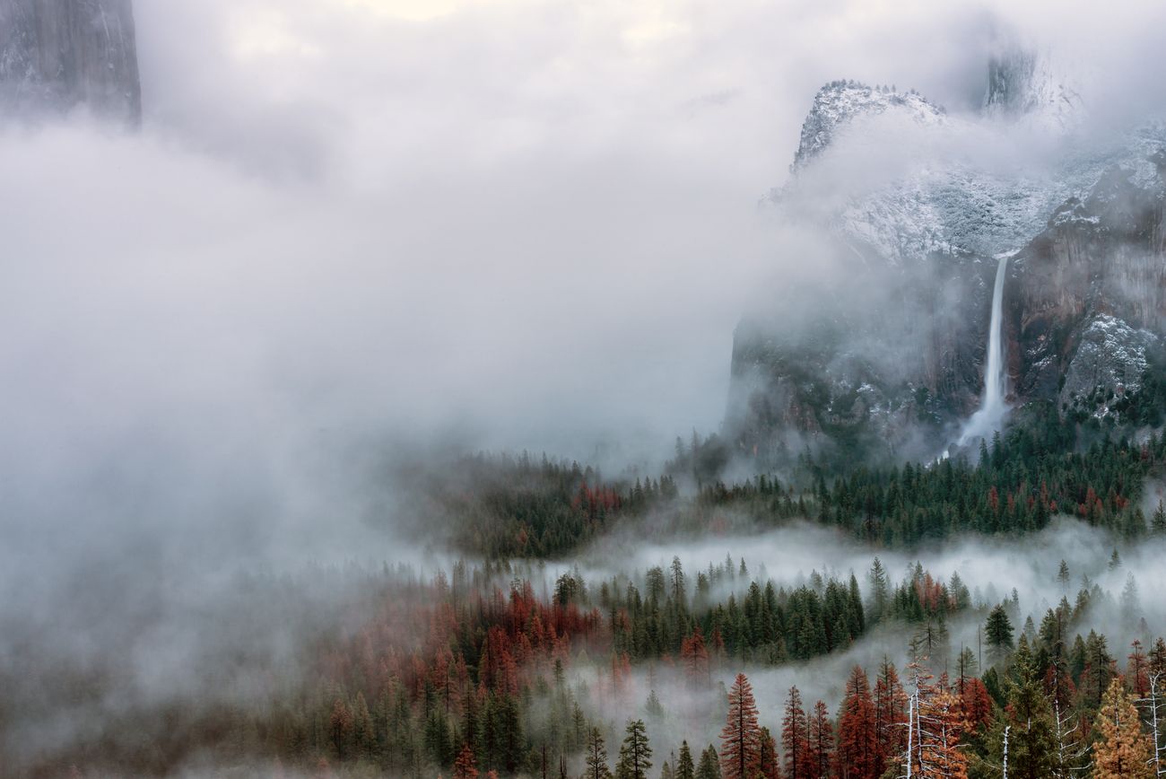 51 Photos Where The Fog Takes Over Nature