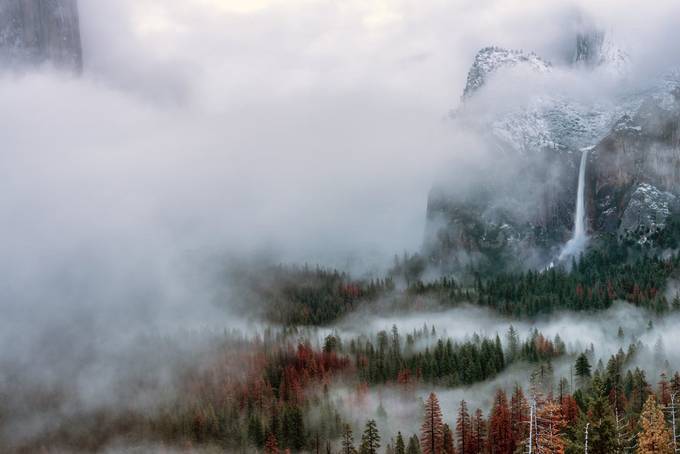 Fog In Nature Photo Contest Winners