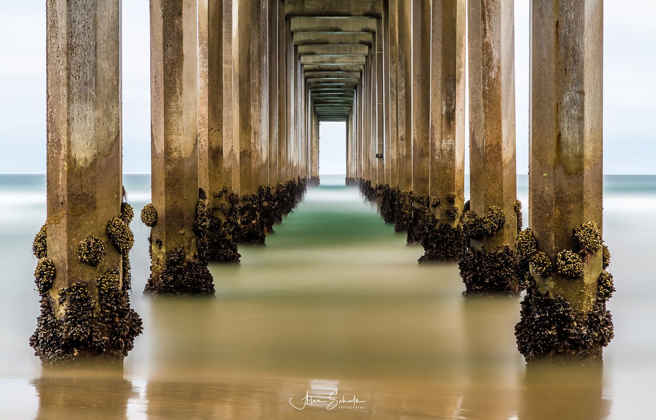 Ocean Piers Photo Contest Winner