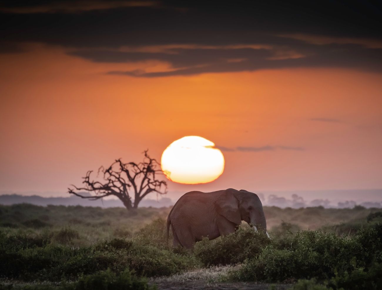10+ Travel Photographers Share What Is Africa