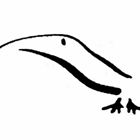 Birdforlife avatar