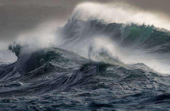 Wild Seas  by WildSeascapes - Covers Photo Contest Volume 3