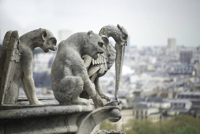 Gargoyles Notre Dame by Fidoboulette - We Love Paris Photo Contest