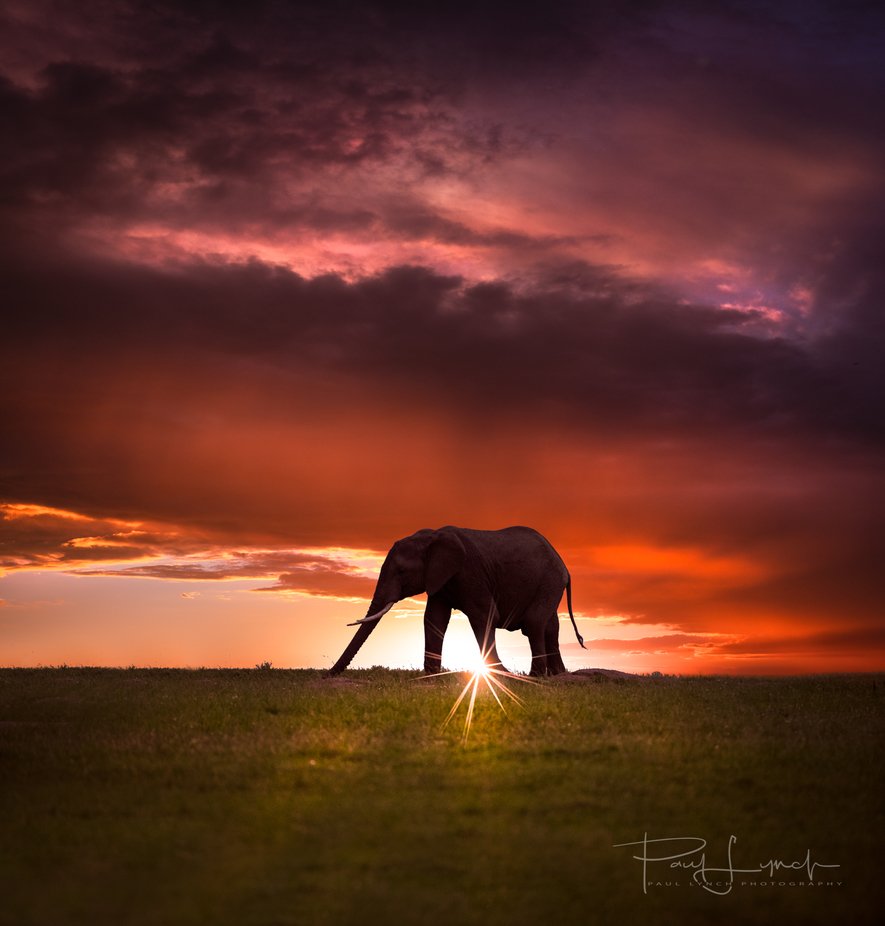 Kenya Sunset  by WorldPix - Sunrises And Sunsets Photo Contest