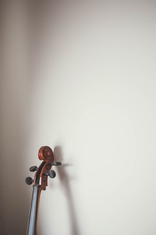 Cello by sydneymanuel - Wood Photo Contest