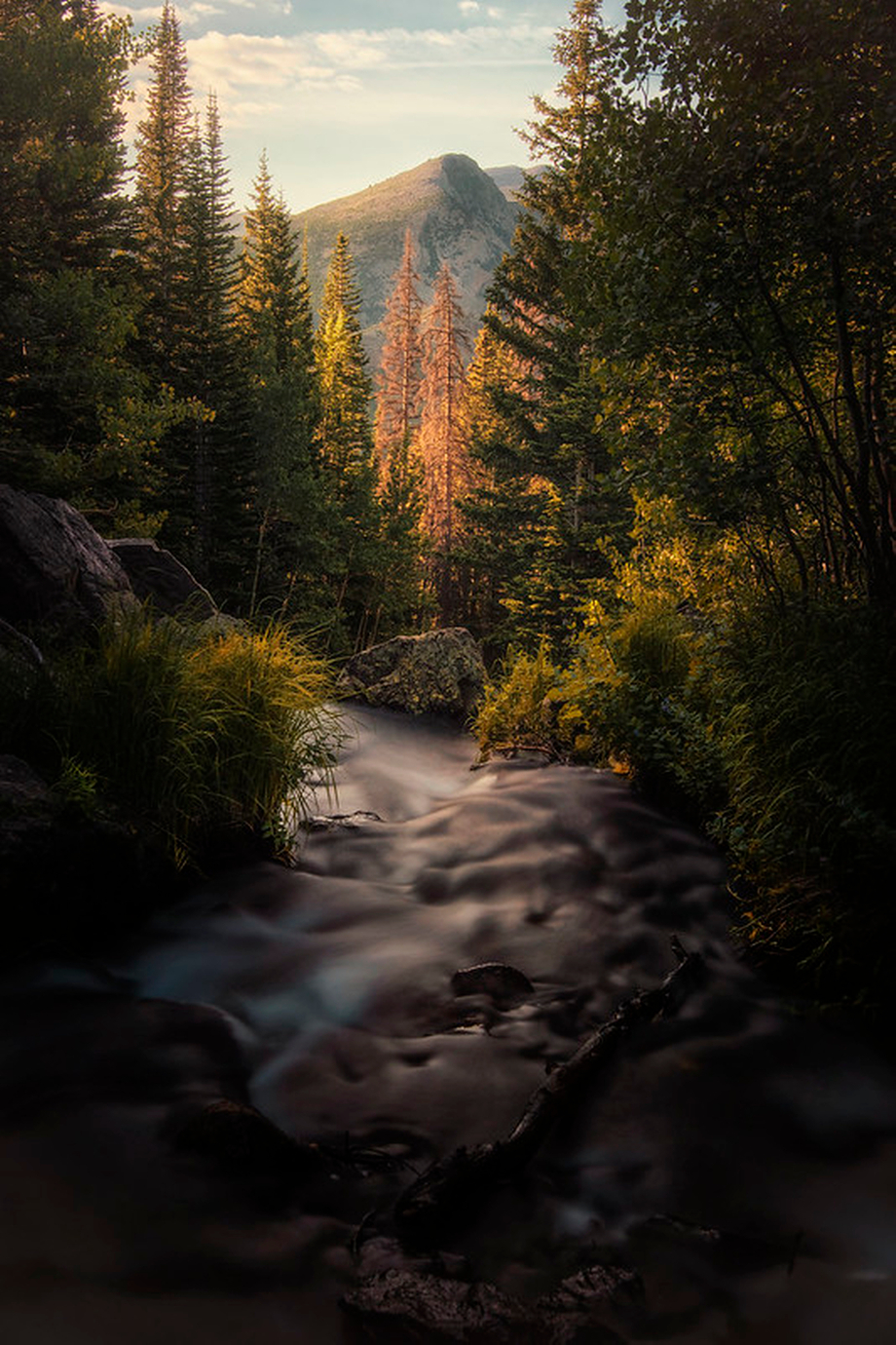 Highland Stream  by MatthewStich - Lost In The Forest Photo Contest
