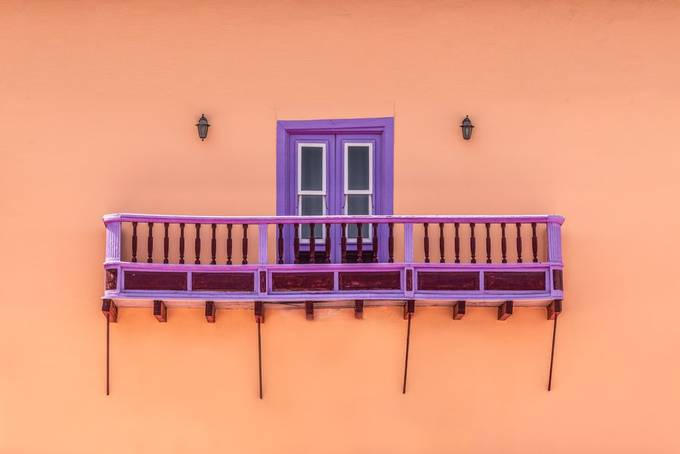 the purple one by maperick - Windows Photo Contest